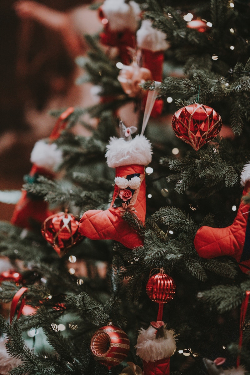 Unveiling Holiday Bliss: Your Complete Handbook to Enjoying Celebrations with Ease
